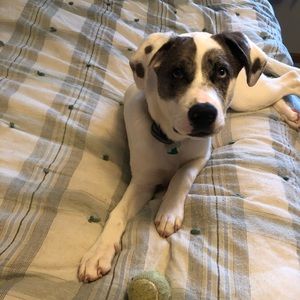 Meet your Posher, Crystal